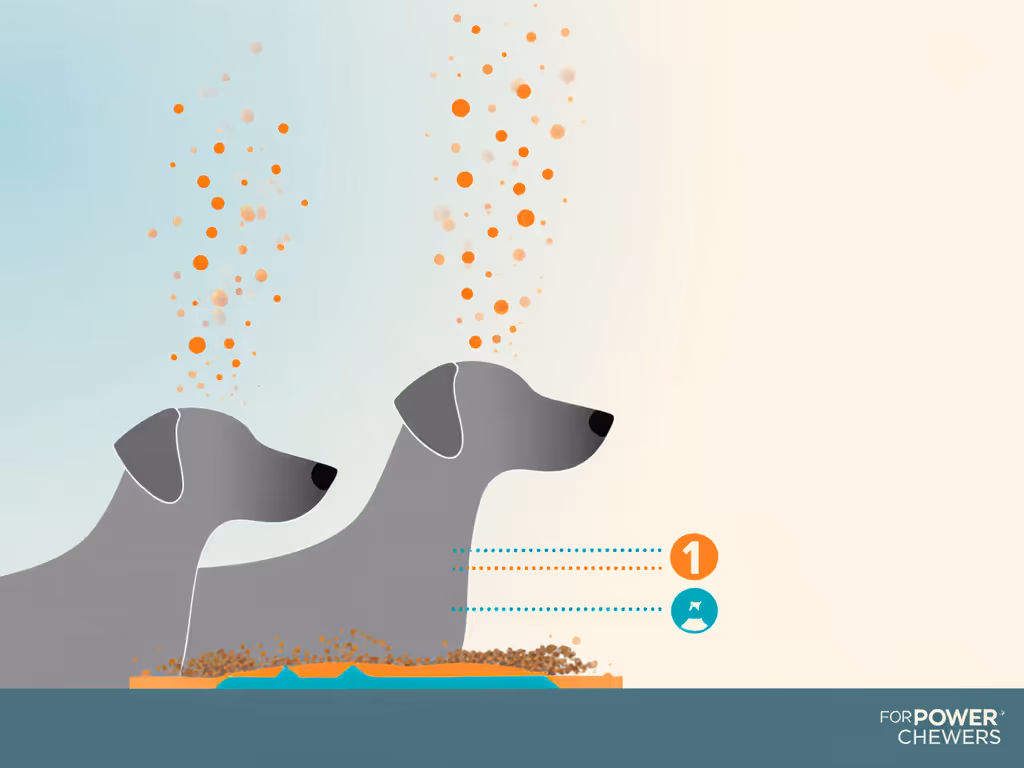 illustration_showing_proper_scent_placement_heights_for_different_muzzle_types