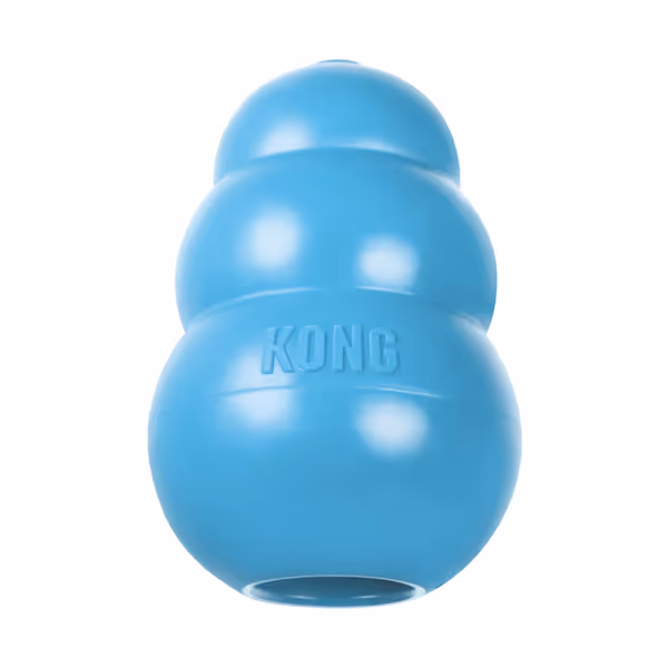 KONG Puppy Teething Rubber Chew Toy