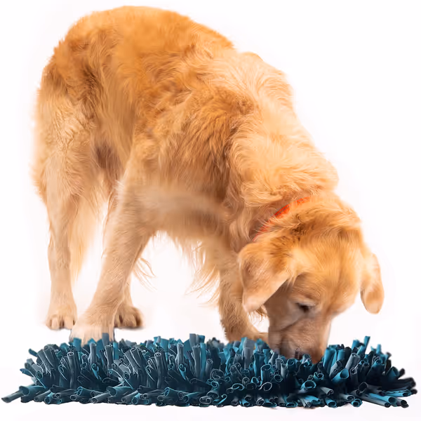 Paw 5 Snuffle Mat