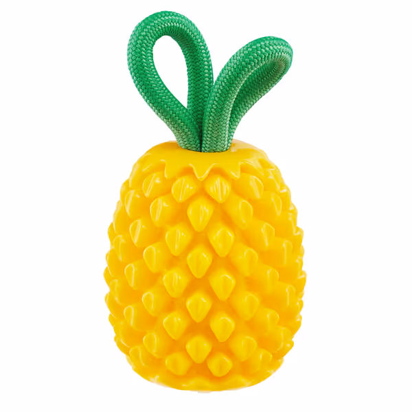 Outward Hound by Planet Dog Dental Pineapple Dental Chew Toy and Interactive Treat Stuffer